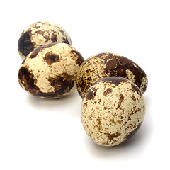 Image showing quail eggs