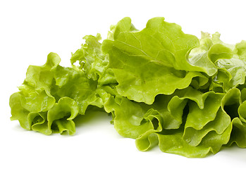 Image showing Lettuce salad isolated on white background