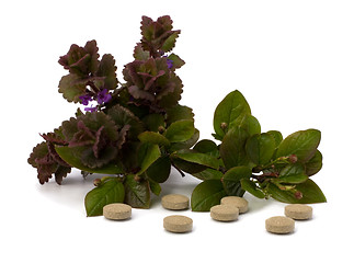 Image showing herbal medicine isolated on white background 