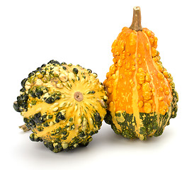 Image showing Decorative pumpkin 