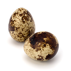 Image showing quail eggs