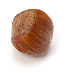 Image showing hazelnut isolated on white background