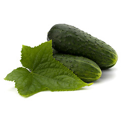 Image showing cucumber