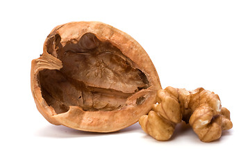 Image showing walnut