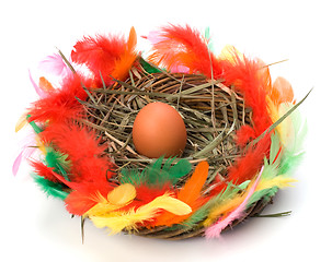 Image showing easter egg in nest isolated on white background