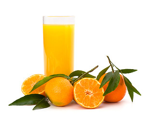 Image showing Tangerines and juice glass 