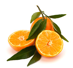 Image showing Tangerines