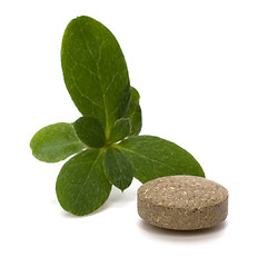 Image showing herbal pills