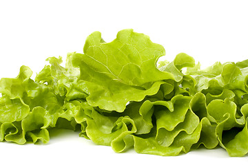 Image showing Lettuce salad isolated on white background