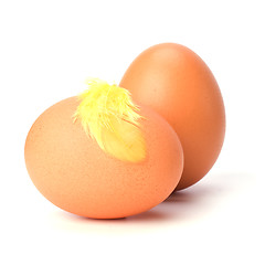 Image showing eggs and feather isolated on white background