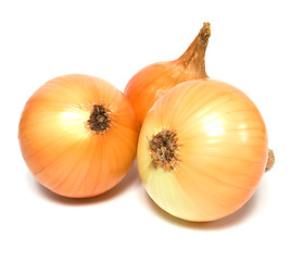 Image showing onion isolated on white background