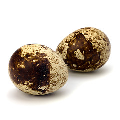 Image showing quail eggs