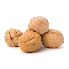 Image showing  walnut