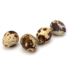 Image showing quail eggs