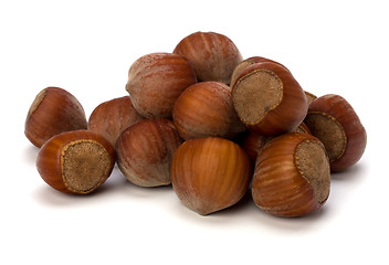 Image showing hazelnuts isolated on white background