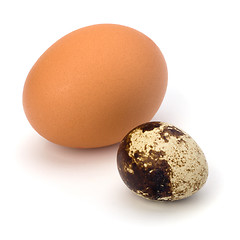 Image showing quail and hen's eggs