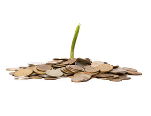 Image showing Money sprouts.  Business concept