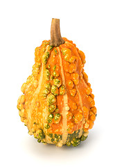 Image showing Decorative pumpkin 