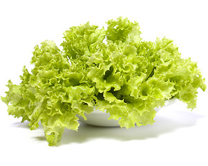 Image showing Lettuce salad isolated on white background 