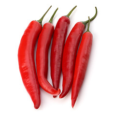 Image showing Chili pepper isolated on white background