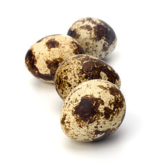 Image showing quail eggs