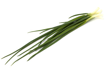 Image showing spring onion isolated on white backgroun close up