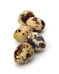Image showing quail eggs