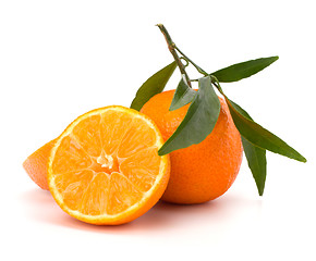 Image showing Tangerines 