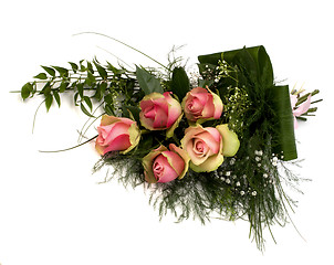 Image showing Beautiful roses isolated on white background 