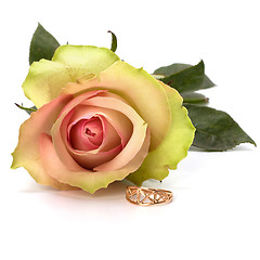 Image showing Beautiful rose with wedding ring  isolated on white background 