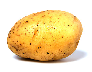 Image showing potato isolated on white background