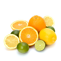 Image showing Citrus fruits