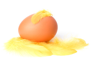 Image showing Egg and feather isolated on white background. Easter decor.