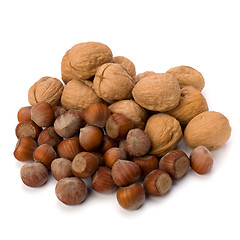 Image showing nuts isolated on white background 