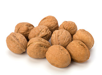 Image showing walnuts isolated on white background 