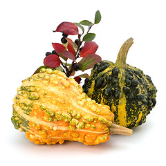 Image showing Decorative pumpkin 