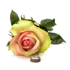 Image showing Beautiful rose with wedding ring  isolated on white background 