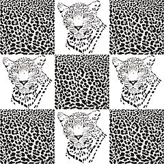 Image showing Leopard patterns for Textiles