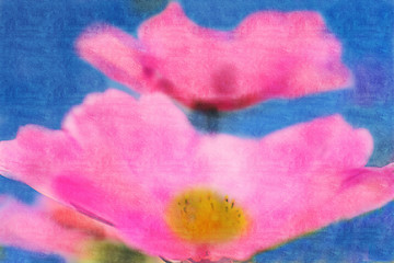 Image showing Cosmea, painting