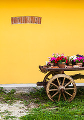Image showing Tuscany flowers