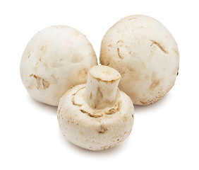 Image showing Champignon mushrooms