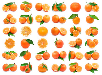 Image showing Mandarins