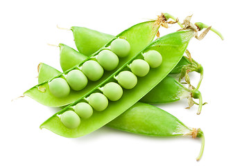 Image showing Pea