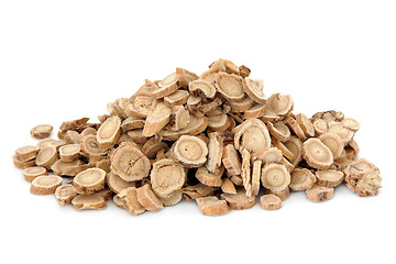 Image showing Astragalus Root