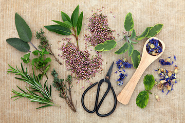 Image showing Fresh Herbs