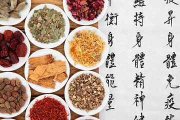 Image showing Herbal Medicine