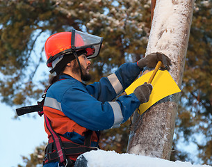 Image showing Electrician attaches to an electricity pylon yellow sign