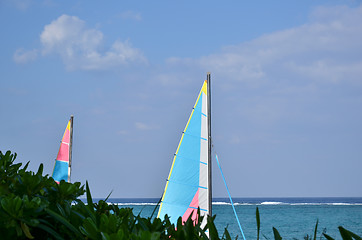 Image showing Sails at tropical coast