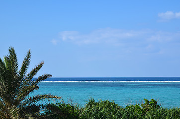 Image showing Tropical view