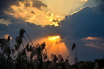 Image showing Dramatic sky